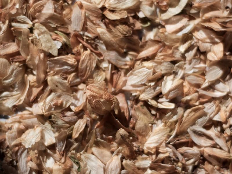 Dehydrated Onion